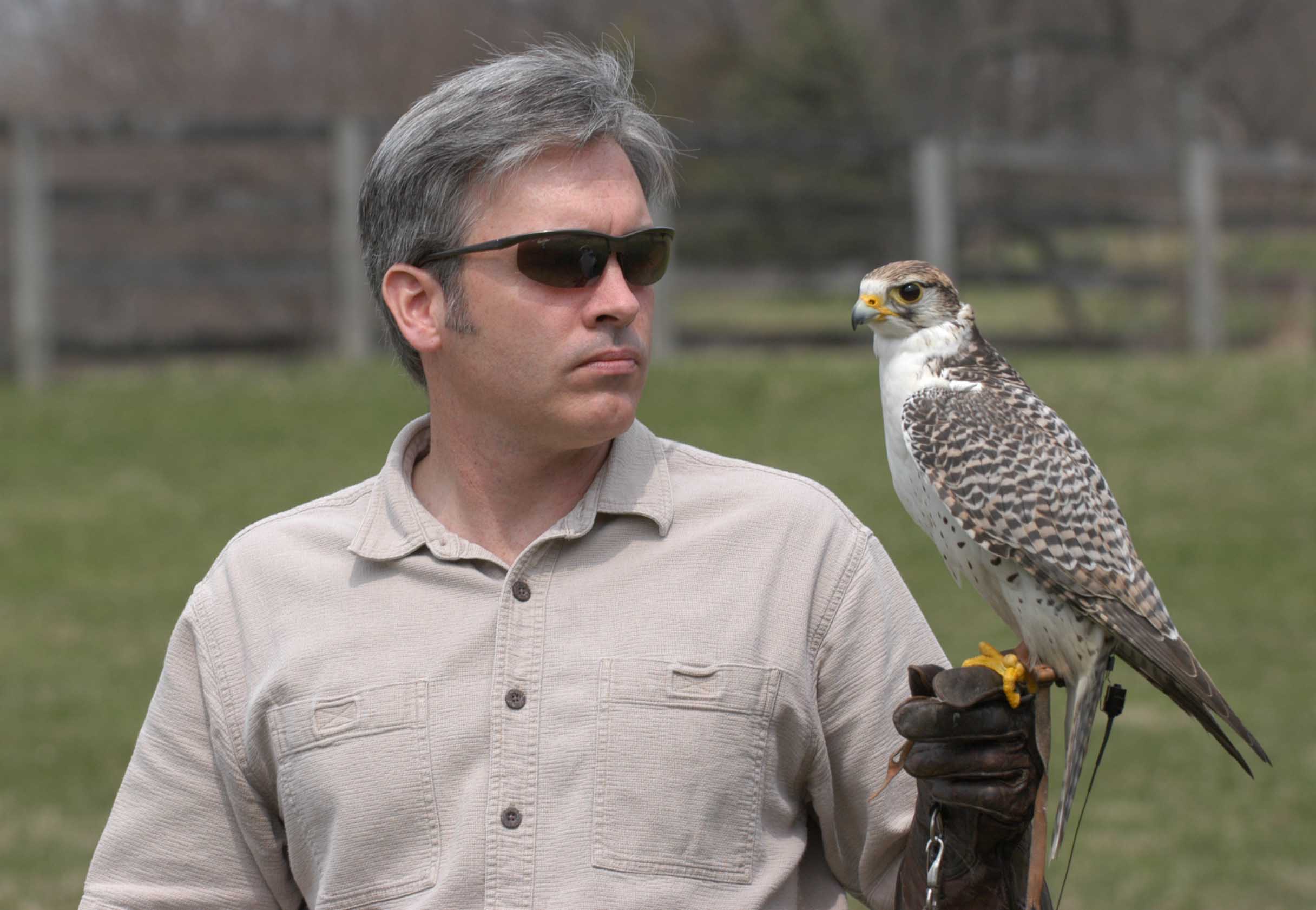 SKYHUNTERS IN FLIGHT: BIRDS OF PREY DEMONSTRATION at