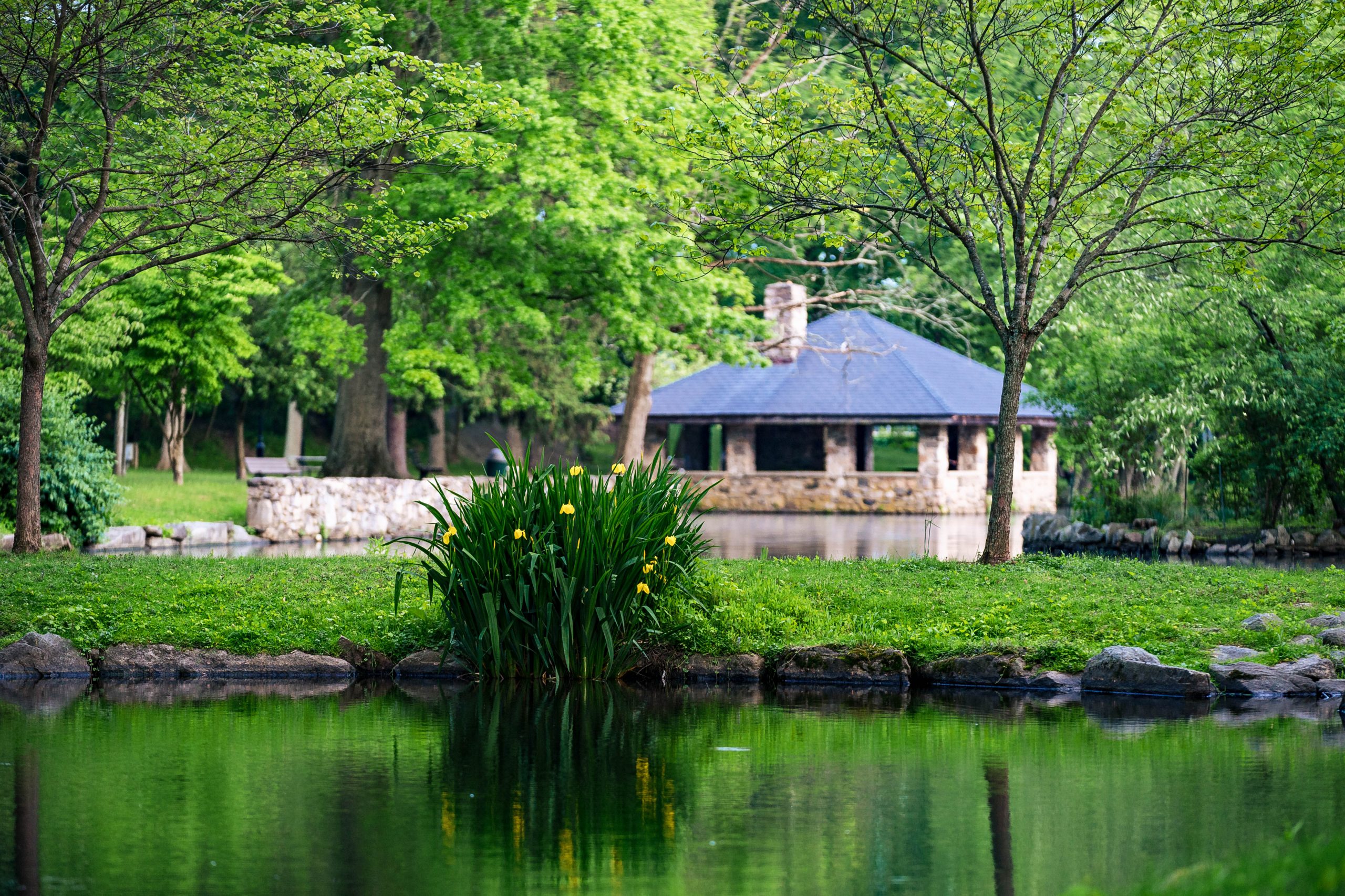 tilley 2 credit Calderwood Photography Darien Chamber Of Commerce