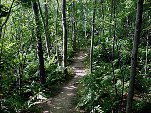 Cherry Lawn Park