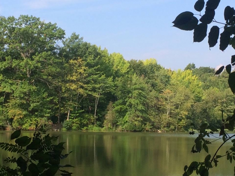 Dunlap Woods