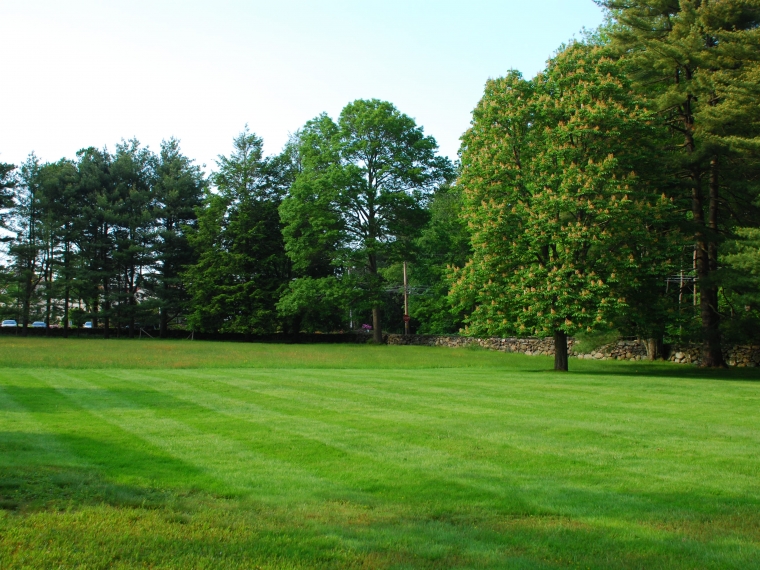 Waterbury Field