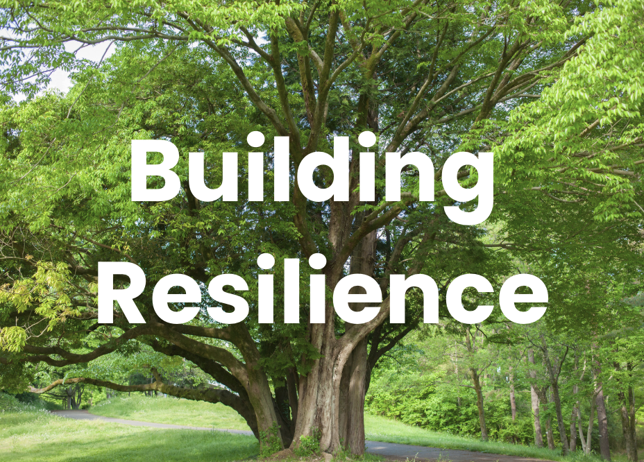 Building Resilience: Navigating Life’s Milestones Together