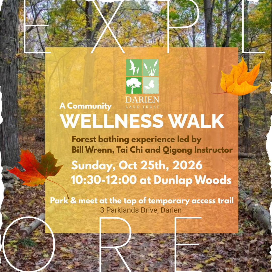 Wellness Walk